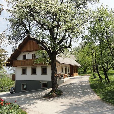 Farm Stay Dolinar Krainer Bohinjska Bela Ngoại thất bức ảnh