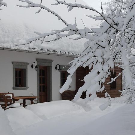 Farm Stay Dolinar Krainer Bohinjska Bela Ngoại thất bức ảnh