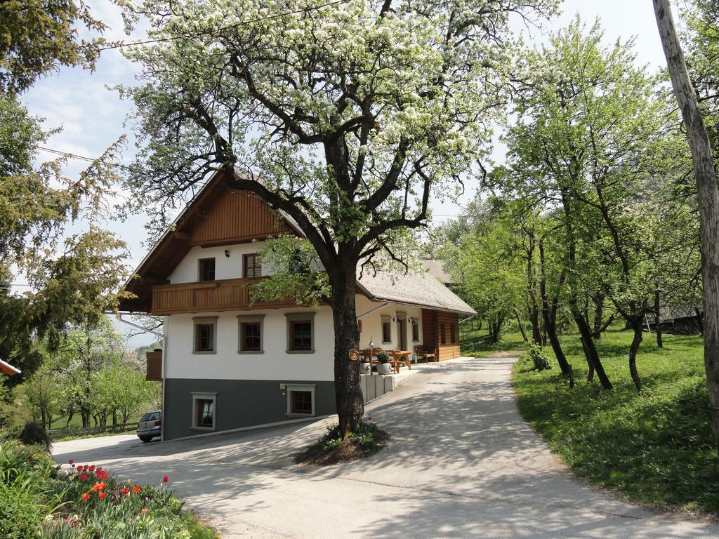 Farm Stay Dolinar Krainer Bohinjska Bela Ngoại thất bức ảnh