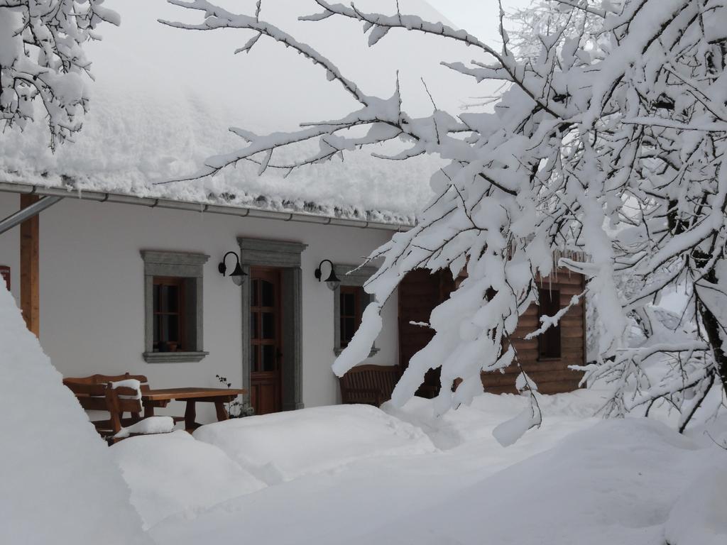Farm Stay Dolinar Krainer Bohinjska Bela Ngoại thất bức ảnh
