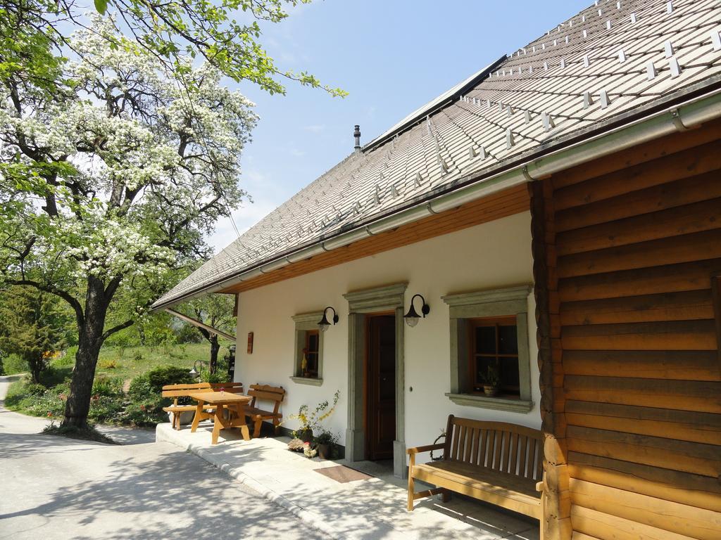Farm Stay Dolinar Krainer Bohinjska Bela Ngoại thất bức ảnh